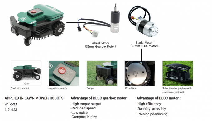 36mm Miniature Brushless Motor Nema 14 12v 24V 9.4w 3000RPM 0.03Nm 3 36mm Miniature Brushless Motor Nema 14 12v 24V 9.4w 3000RPM 0.03Nm 2