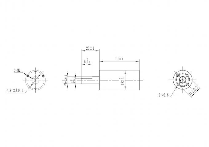 0.87inch Brushless BLDC Gear Motor 24V 300RPM 22BL202AG16 Gearbox Brushless Motor 1