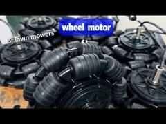 Choosing a Lawn Mower: Have You Really Considered Its Most Important Part—The Motor?